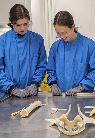 two scouts examining bones